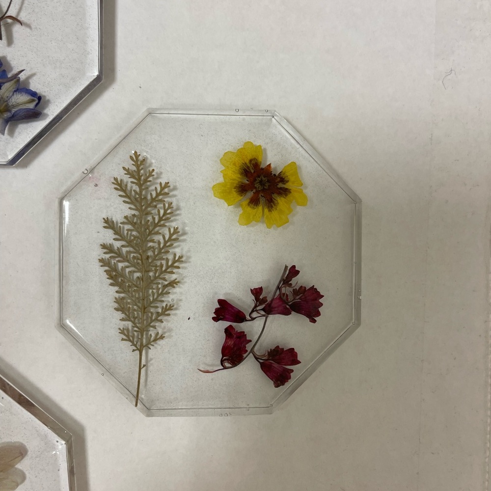 Botanical coasters - Picture 7 of 7